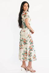 Amara Mesh Dress | Cream Multi Floral