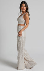 Abela Two Piece Set - Crop Top and Wide Leg Pants Set in Silver Sequin