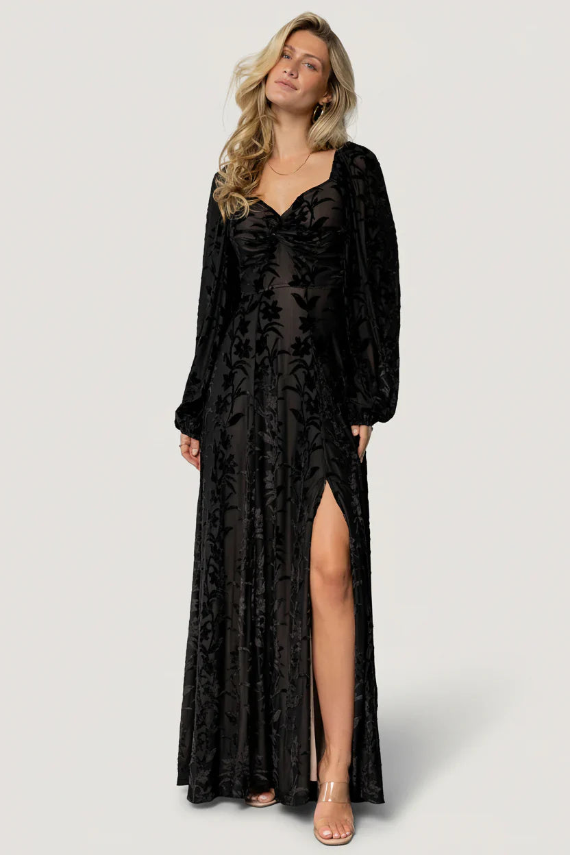 Aurora Velvet Maxi Dress | Black Floral