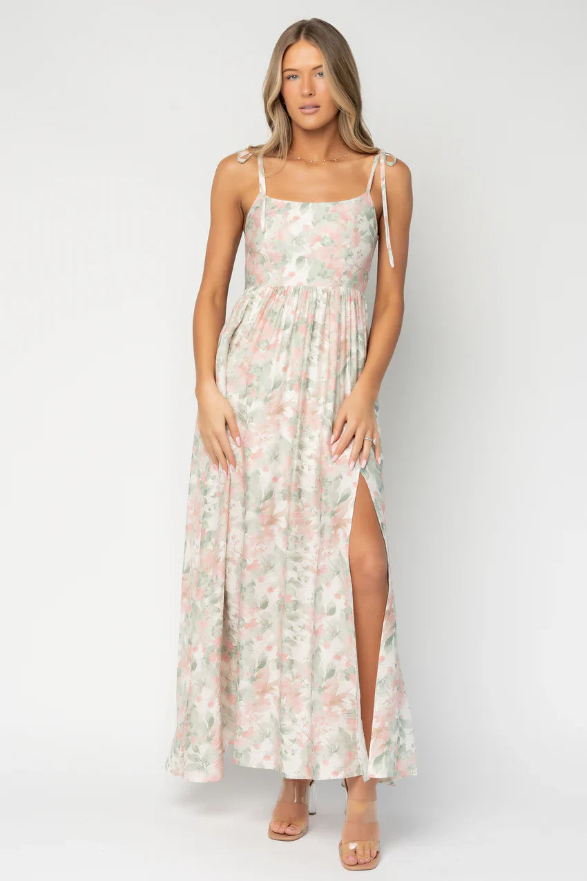 Elton Maxi Dress | Sage + Blush Floral